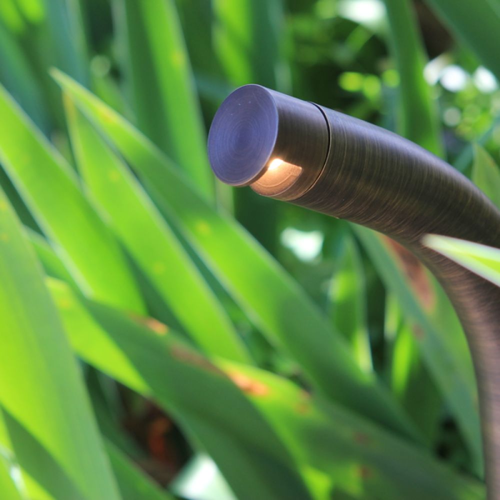 <span class="uk-h4">Coastal Source FLEX Niche landscape lighting fixture hiding among green grass</span>