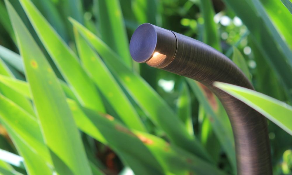 <span class="uk-h4">Coastal Source FLEX Niche landscape lighting fixture hiding among green grass</span>