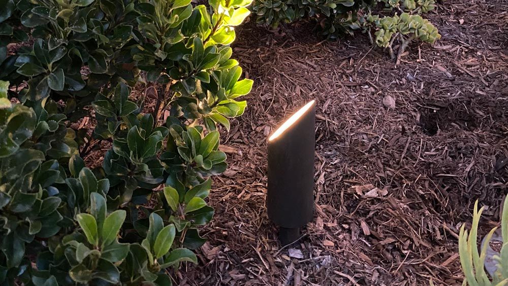 Ground-level view of a sleek black outdoor light illuminating green shrubs in a garden.